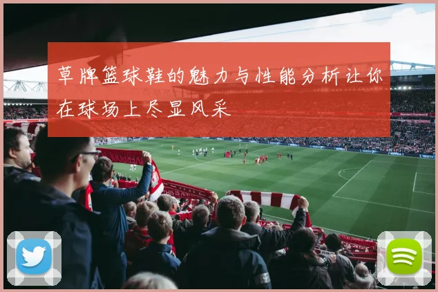 草牌篮球鞋的魅力与性能分析让你在球场上尽显风采
